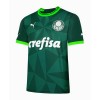 Camiseta de fútbol Palmeiras 2023-24 Primera Equipación - Hombre